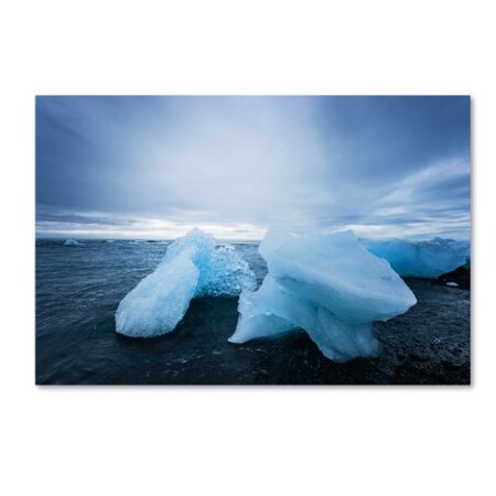Trademark Fine Art Philippe Sainte-Laudy 'Blue On Black' Canvas Art, 30x47 PSL0633-C3047GG